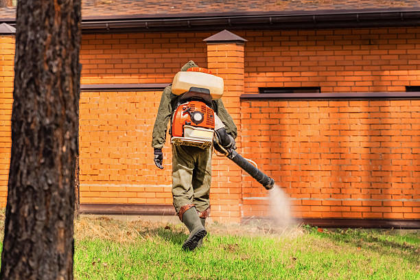 Trusted Bed Bug Control service in Vestavia Hills, AL - Nex Pest Control